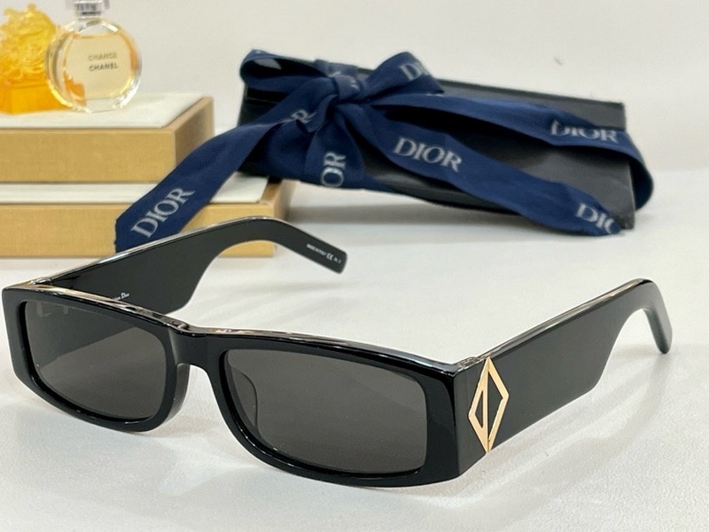 DIOR Sunglasses 100